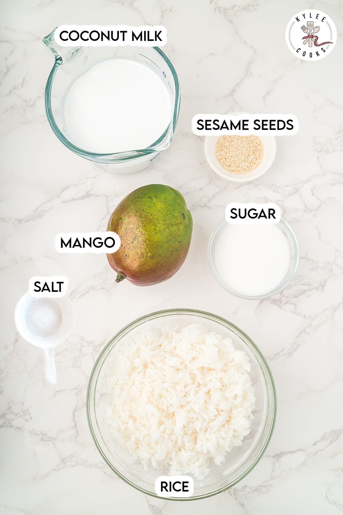 Top-down view of ingredients for mango sticky rice: coconut milk, sesame seeds, sugar, salt, a mango, and a bowl of cooked white rice on a white surface.