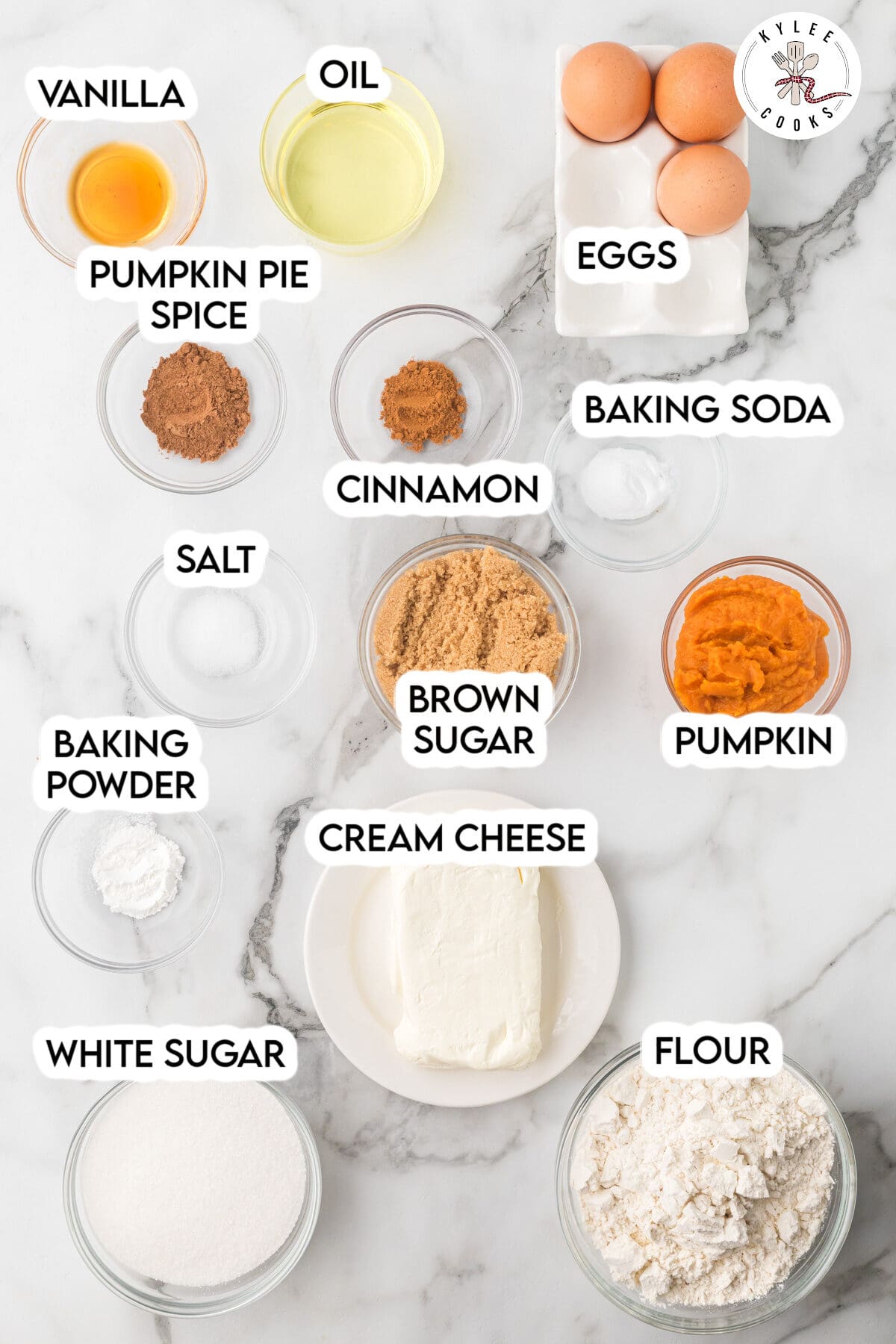 Ingredients for a pumpkin recipe arranged on a marble surface with labels identifying vanilla, oil, eggs, pumpkin pie spice, cinnamon, baking soda, salt, brown sugar, pumpkin puree, baking powder, cream cheese, white sugar, and flour.